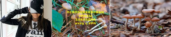 mdpv Алексеевка